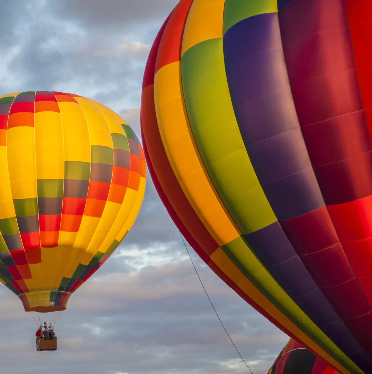 Hot air balloons